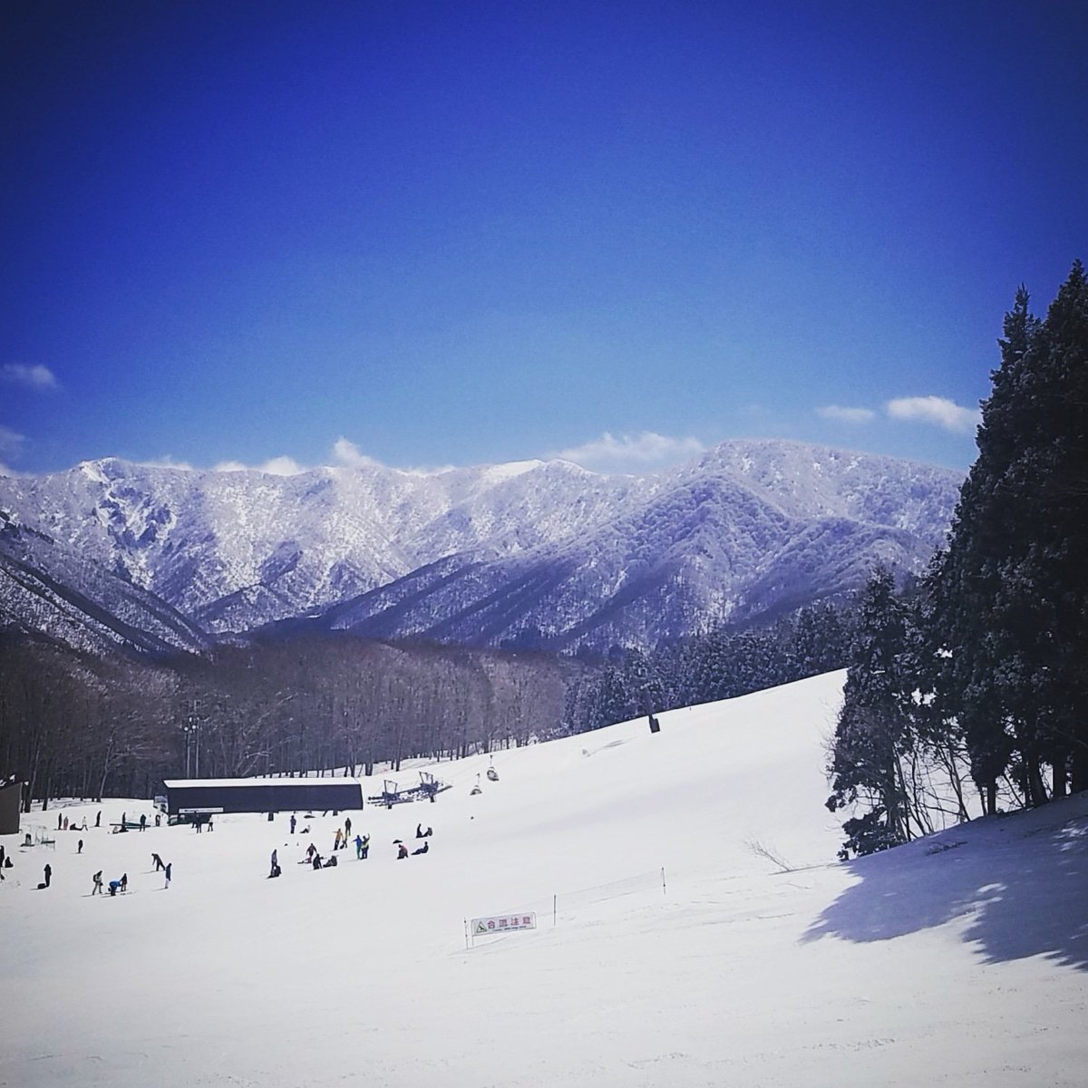 CreatorSundae's tweet photo. Kagura in Japan

#snowboard #snowboarding #ski #skiing #beautifulwinder #mountaininwinder #snowbeauty #beautifulmountain #beautifulsnow #snowboardaddiction #addictedtomountain #wintersports #winterlover #snowinmountain #snowboardlover #snowlover #snowsportslover #kagurajapan https://t.co/epeMYLgcGK