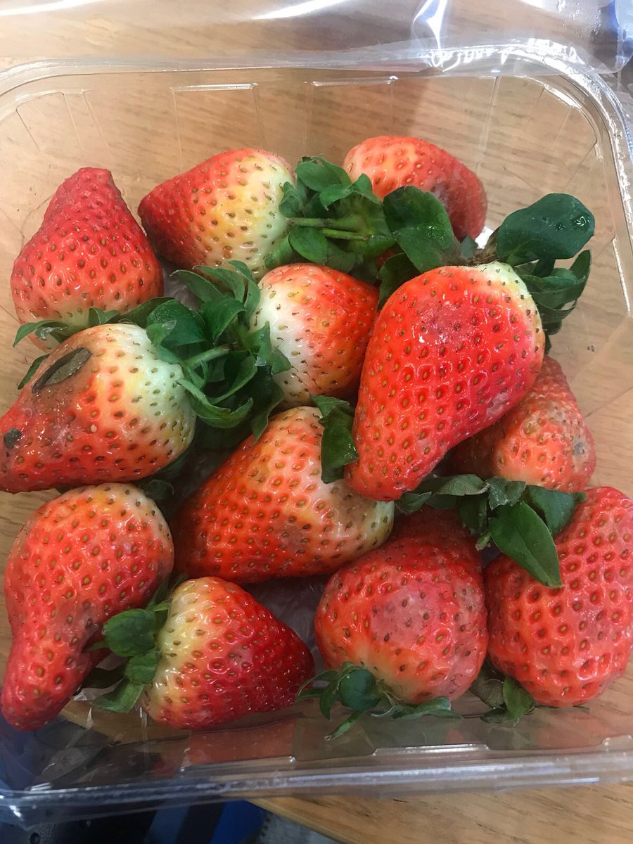 NiamhMitchelll's tweet photo. @lidl_ireland absolutely disgraceful that these are on your shelves. Only purchased last night in your east wall store. https://t.co/pPGoZIj7lv