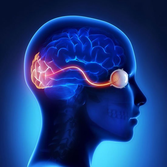OphthalmoNeuro's tweet photo. #Neuro-#ophthalmology symptoms and conditions:#Abnormal #eye movements,#Double #vision,#Eyelid abnormalities,#Myastheniagravis,#Optic #nerve problems,#Thyroid #eye disease,#Transient #visualloss,#Unequal #pupilsize.
https://t.co/clhOzbRVTR https://t.co/H2u3uvxGCU