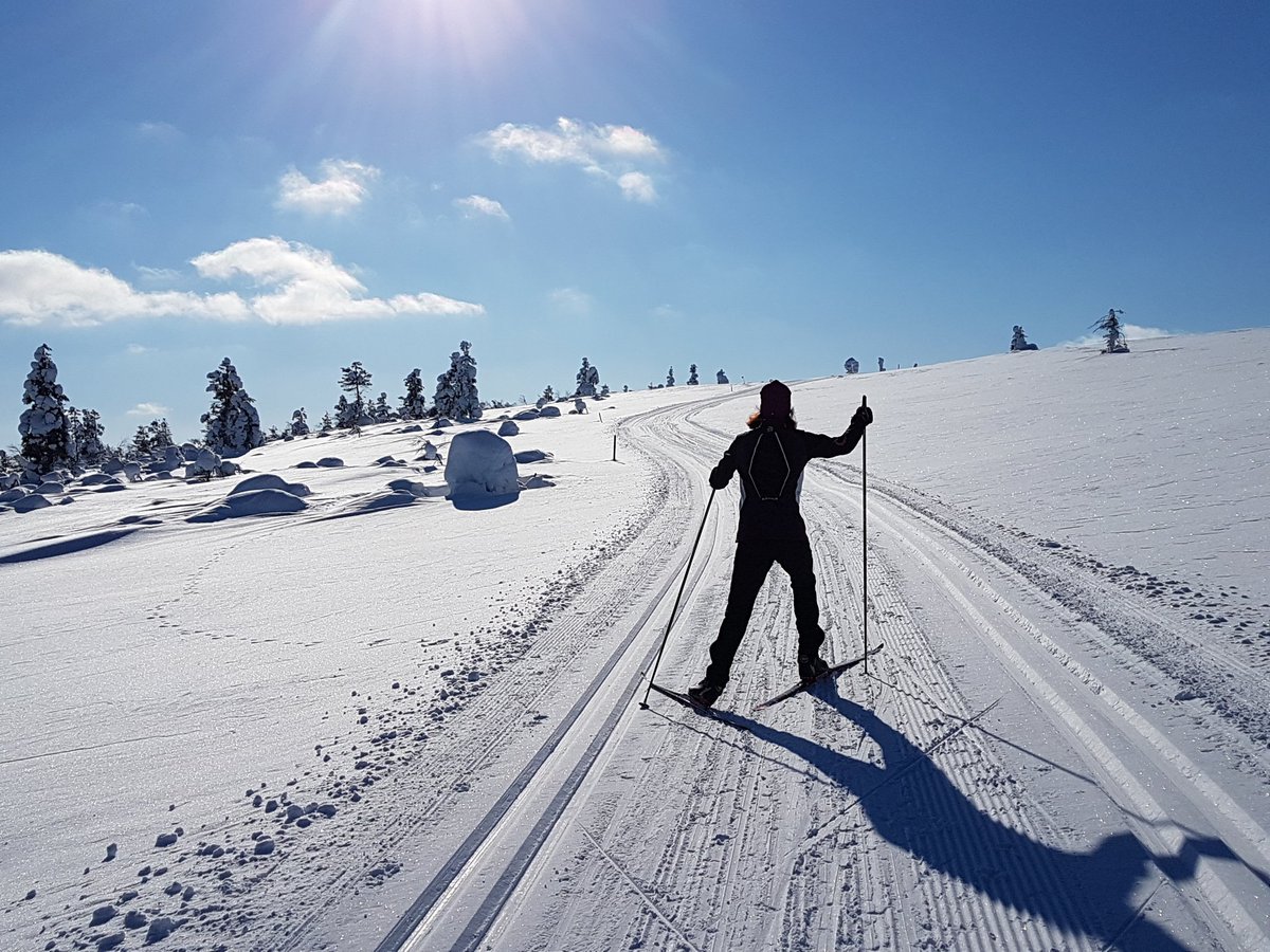 chregli's tweet photo. #Saariaelkä #Lapland https://t.co/mjGxBOglv1