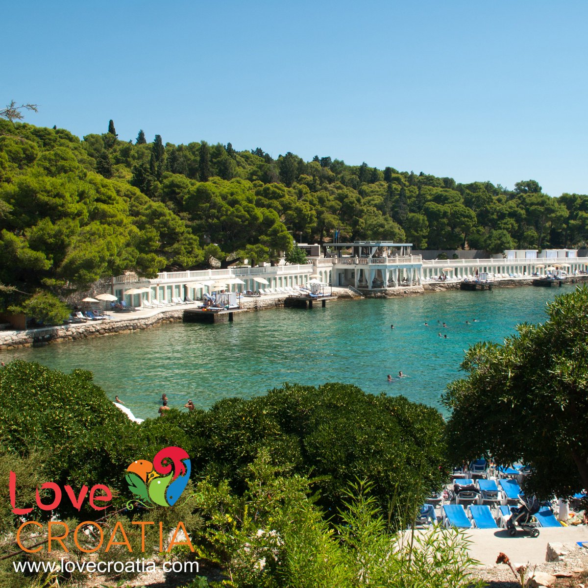 A number of wooden footbridges and hiking trails meander throughout this exotic paradise inhabited by over 160 species of birds, offering visitors scenic views and excellent photo opportunities.😍👣🐺🐦🦋🐠🐬🌳🌴        
.
#lovecroatia #croatia #destination #adriatic #travelthe