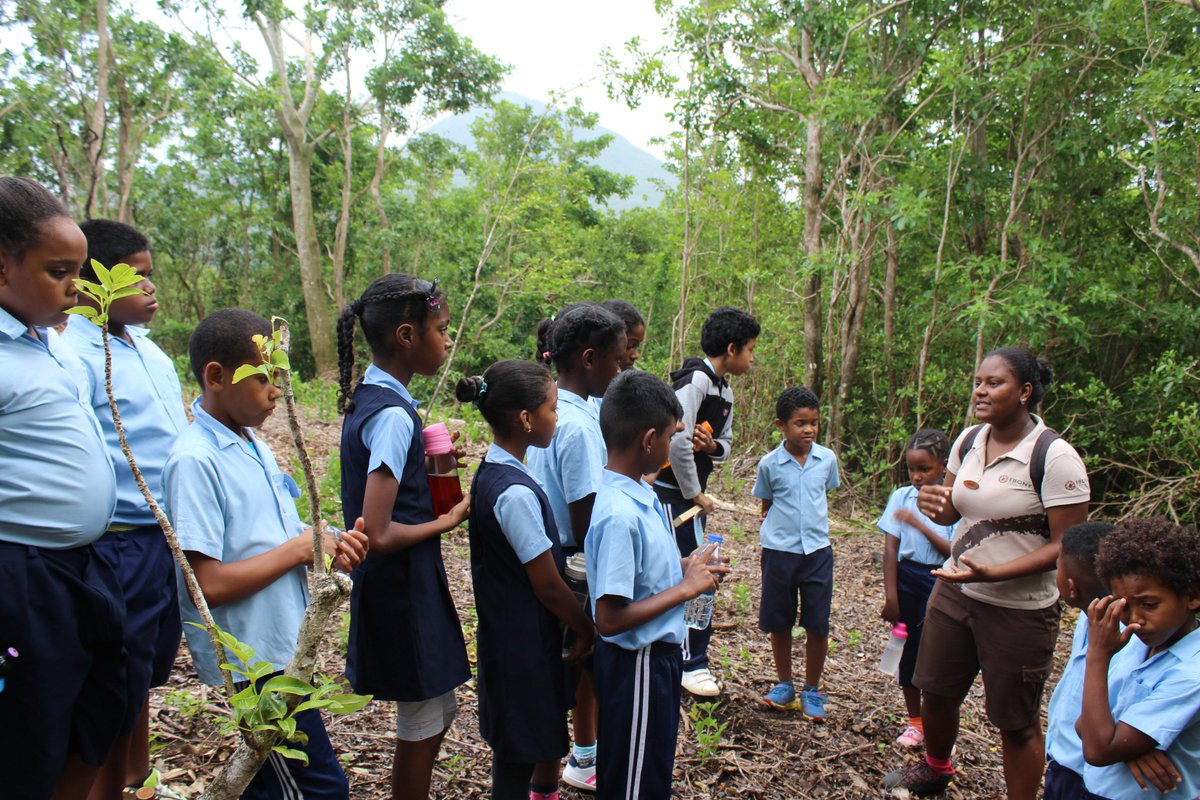 Ebony Forest Reserve tweet media