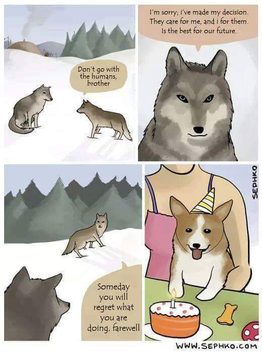 DY92WVLWsAEJrdN.jpg