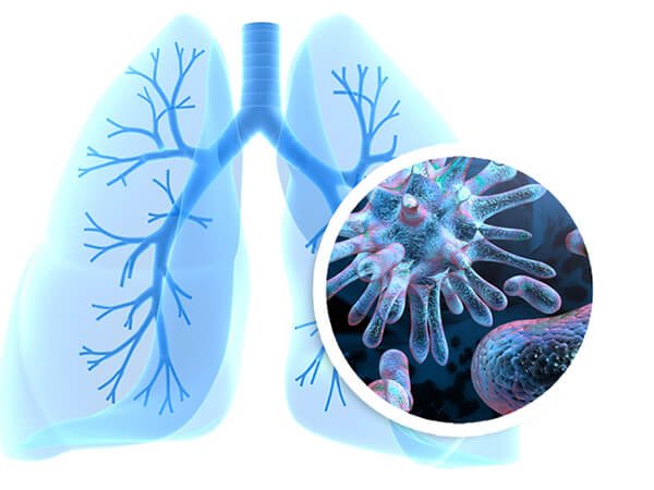 book lipid mediators in the immunology