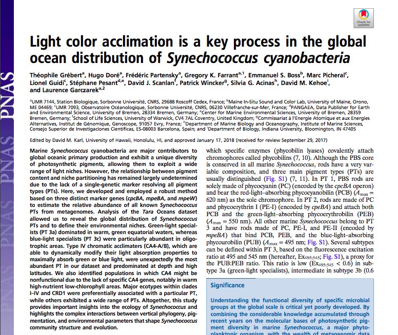 Kolie_Yola's tweet image. This week's paper, chaired by Dr. Emma Rocke. #JournalClub #PaperDiscussion #UCTResearch #PhDLife