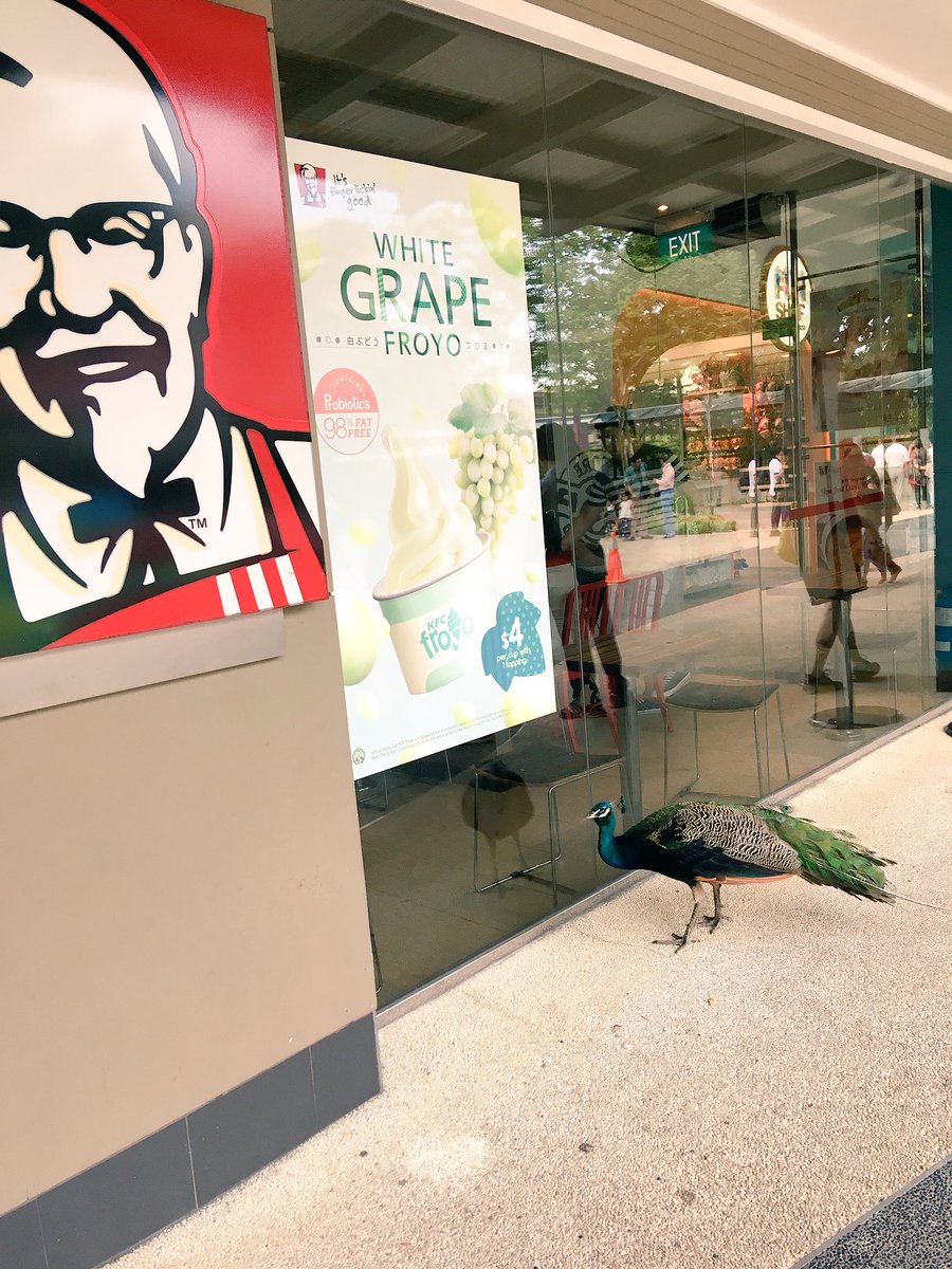 M (@mittsuw) on Twitter photo 