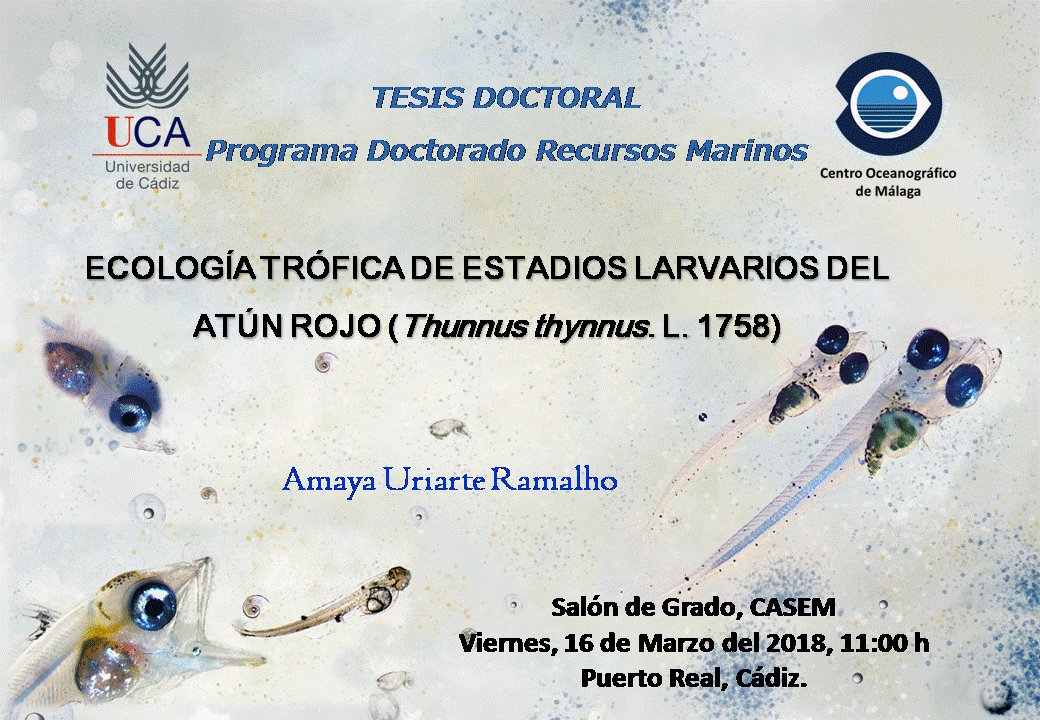La citada Tesis ha sido dirigida por los Drs. Alberto García García y Raúl Laiz Carrión y se desarrolló en el C.O. Málaga del <a href="/IEOoceanografia/">Instituto Español de Oceanografía (IEO-CSIC)</a>  gracias a una beca predoctoral FPI-IEO 2011/03 bajo el marco de los proyectos de <a href="/ecolatun/">@ecolatun</a> CTM2015-68473-R (MINECO/FEDER) y BLUEFIN.