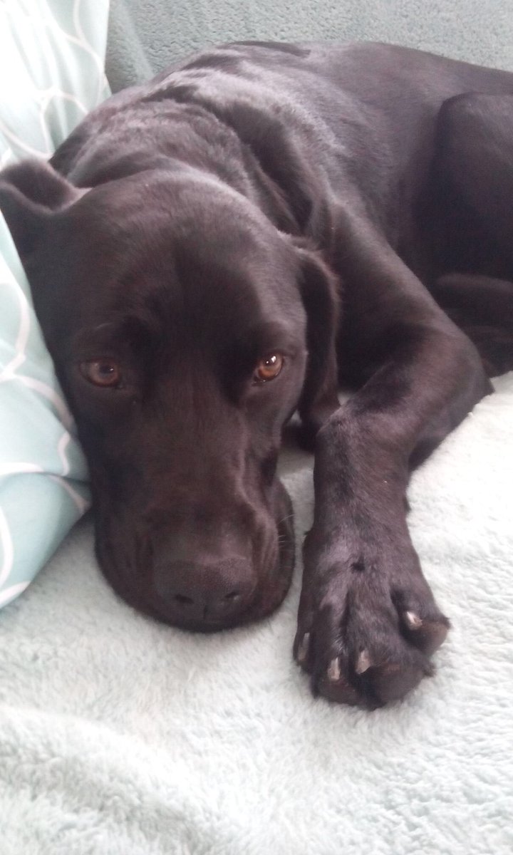 Missing my girl already. Stella Jo 💕
<a href="/VIPoole/">Nate Poole</a>