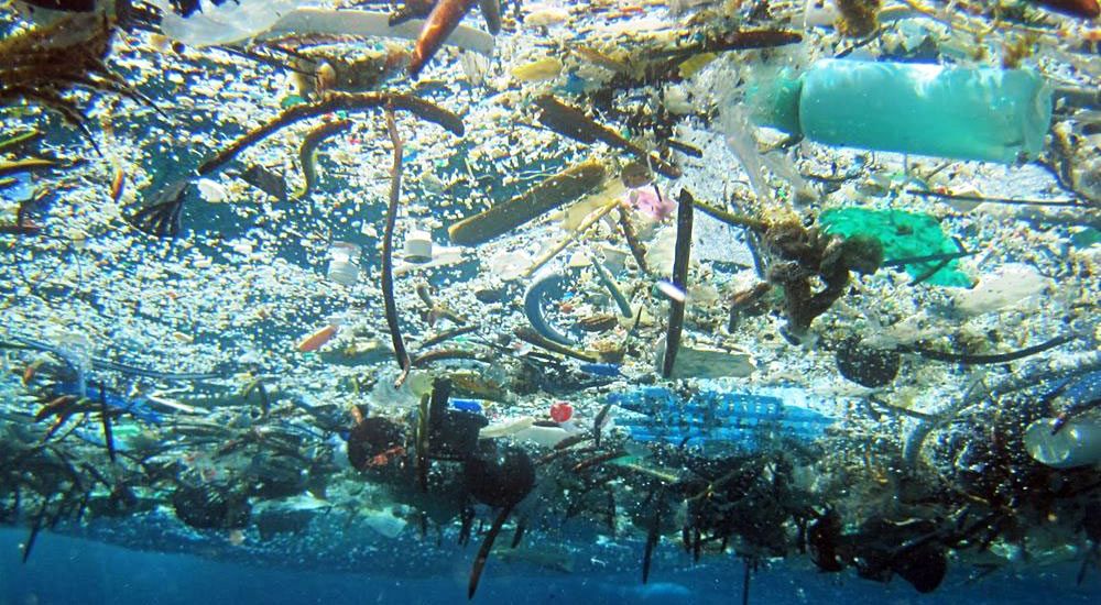 rsarhitekti's tweet image. Plastic garbage -It’s a time bomb . po.st/Ytqcor via @SURFER_Magazine #nature #PlasticPatch #PlasticGarbage #ecology #ecosystem