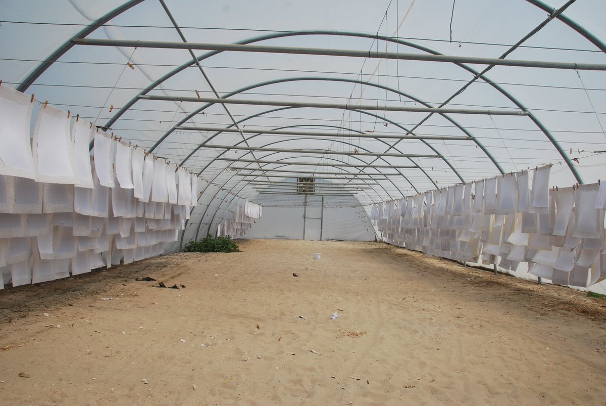 Ons karton is gemaakt uit 100 % gebruikt papier , handgemaakt in Zuid Afrika en met bloem of kruiden zaden. #recycling #growingpaper #cradletocradle ow.ly/3tqT30j53gm