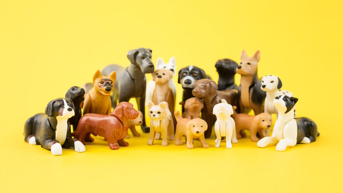 dog playmobil