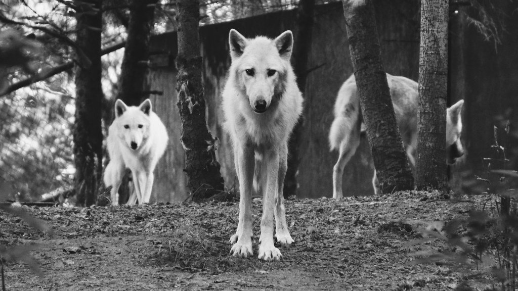 OpenForIdeasOrg's tweet image. It’s time to make workplace stress history openforideas.org/blog/2018/03/2…