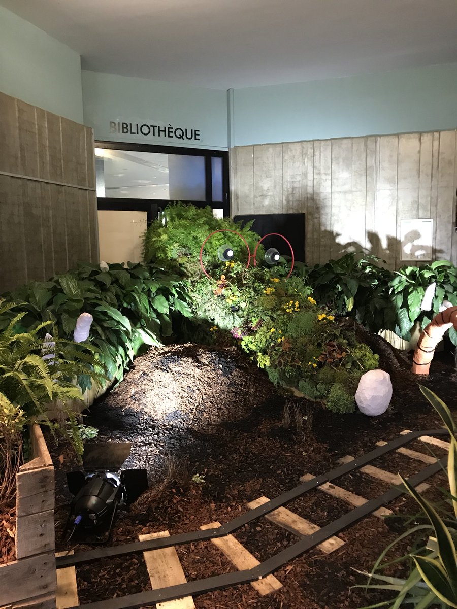 LOKKILUCK's tweet photo. Profitez de la programmation du weekend de ce bel événements #ExpoFlo #Angers https://t.co/yFn0FvBPvk https://t.co/yLGxT78WPH