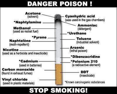 nutritionfacts5's tweet photo. Stop smoking https://t.co/4T9KXZK3gj
