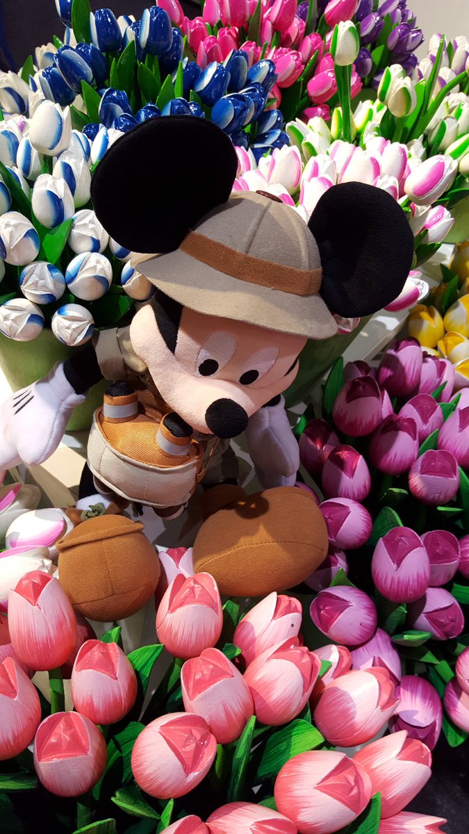 DemaySonia's tweet photo. #MonCastingTour has come to Amsterdam. Ready to meet and #recruit the future #talent for #Disneylandparis at our #JobFair today! @HotelschoolTH https://t.co/xxIWc6SQeS