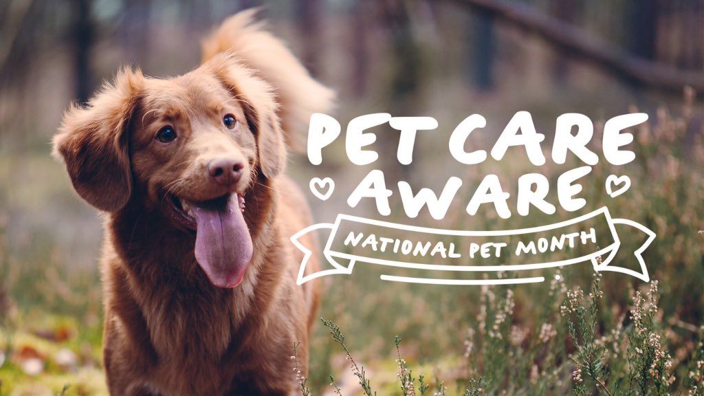 It's National Pet Month Soon.
