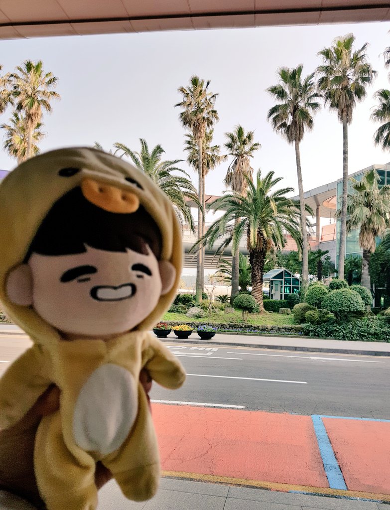 angeltonyan's tweet photo. 제주도에 도착을 했습니다!!!!
😆😆😆😆😆😆😆😆😆

#오리더기 #토몽이 #떠나요제주도 https://t.co/QKTEtCIBb9