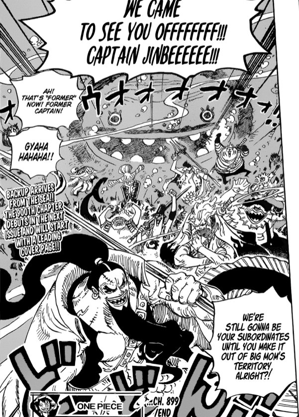 One Piece 899