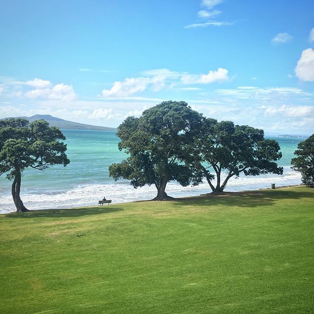 nancyslloyd's tweet photo. Lunch views https://t.co/sSeoUivMBF https://t.co/CTKOLefoKJ