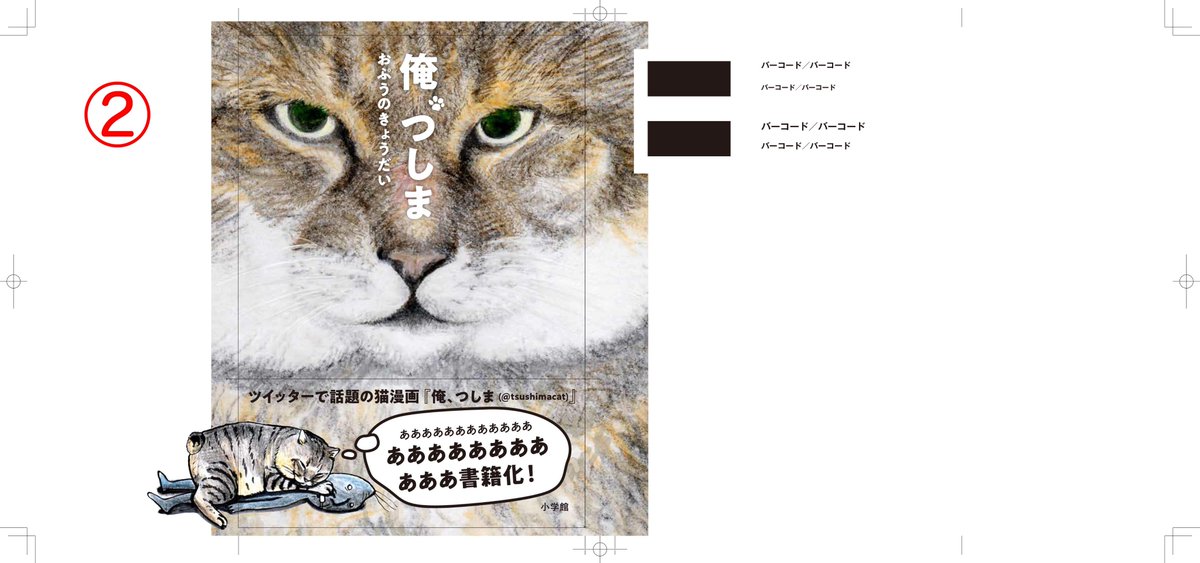 ひょうしなんだけど、どっちがいいかきめられなくておじいちゃんは煙をふいてしまったから決めておくれよ。
①は帯のしたになんかかくれてるよ。
②は俺におもわずチューしたくなるだろう?
この下にとうひょうシステムを設置するから、とうひょうよろしくお願いしますよ。 