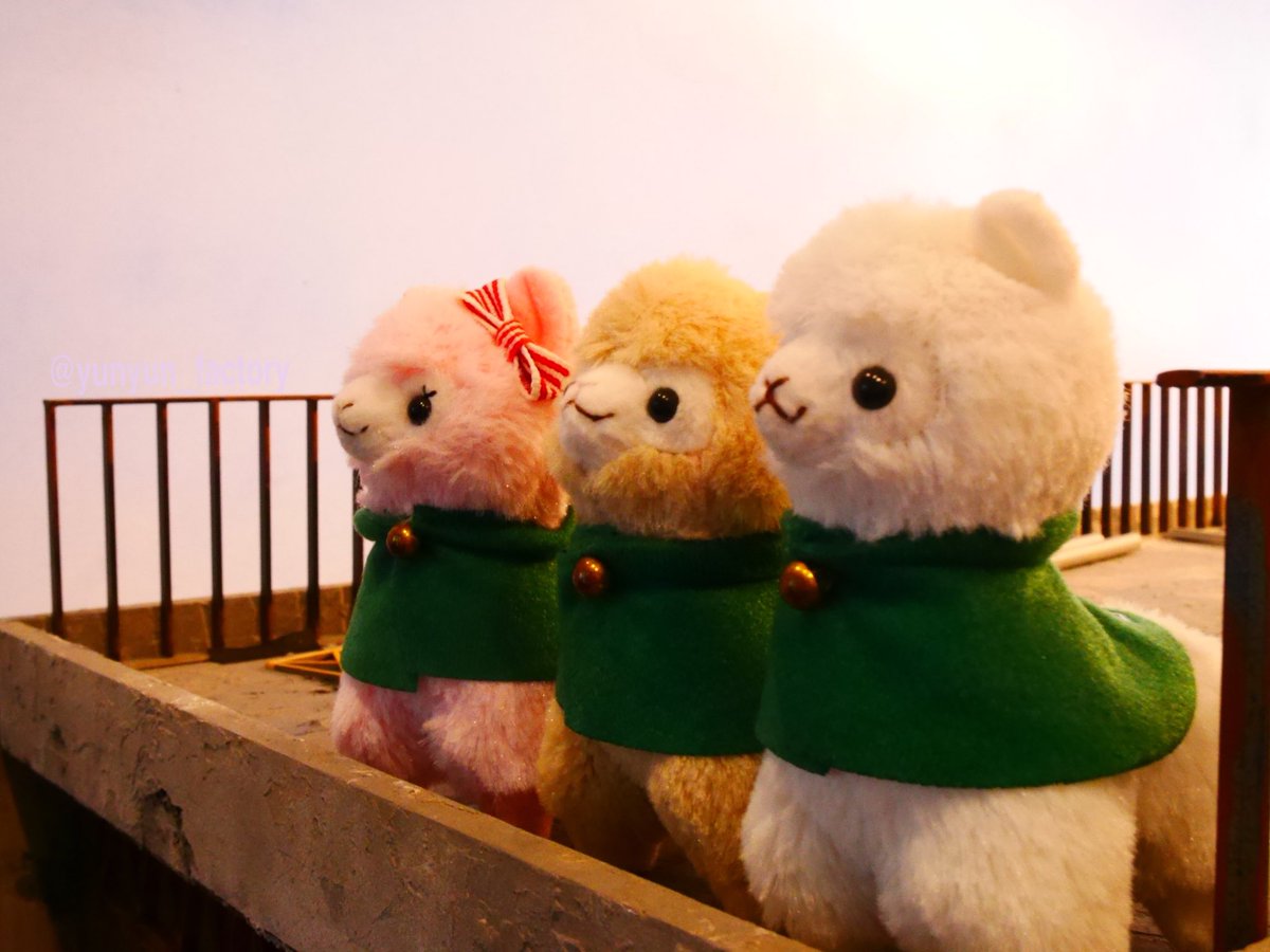 アルパカッソ兵団