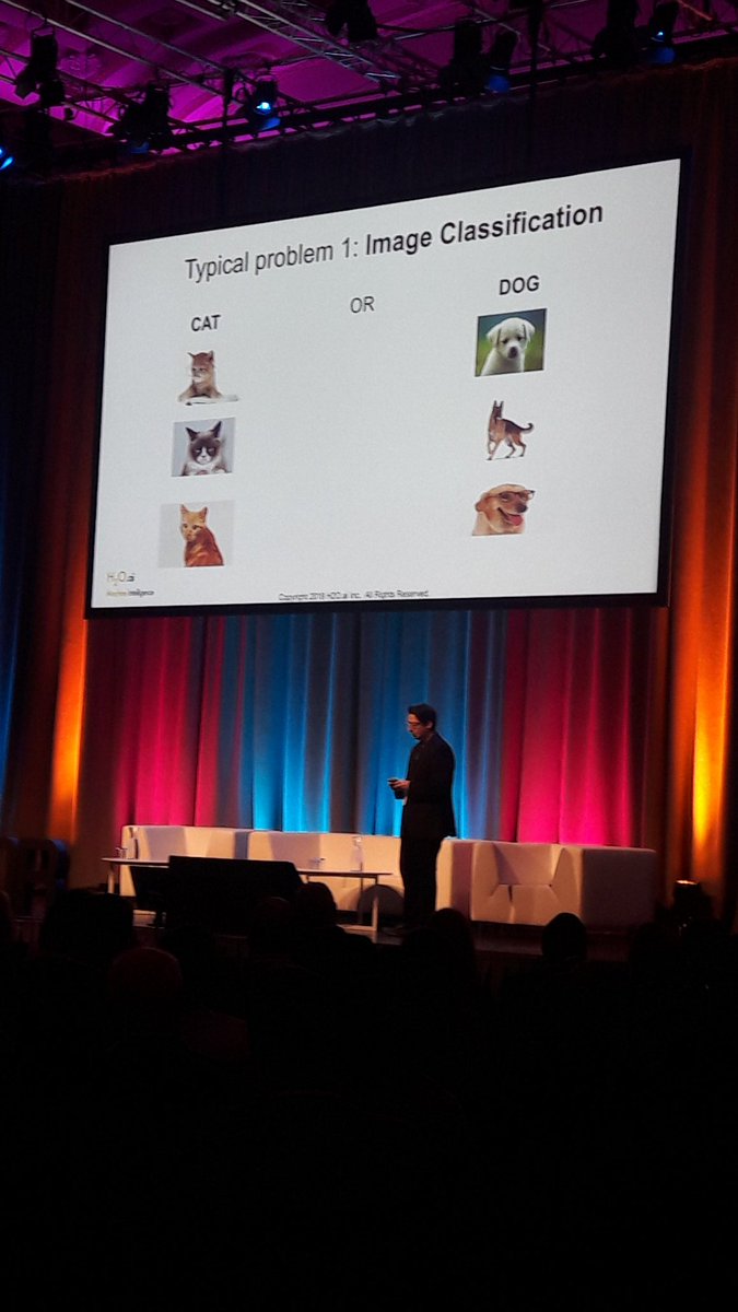 FutureXGlobal's tweet image. &quot;Cat or Dog?&quot;: Marios Michailidis mentions machine learning. #NationalPuppyDay #DataSummit18 #DataFest18