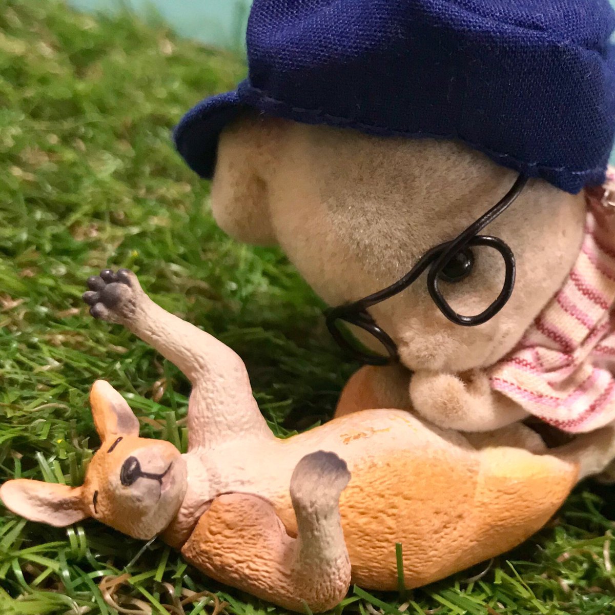 ムツゴロウ王国