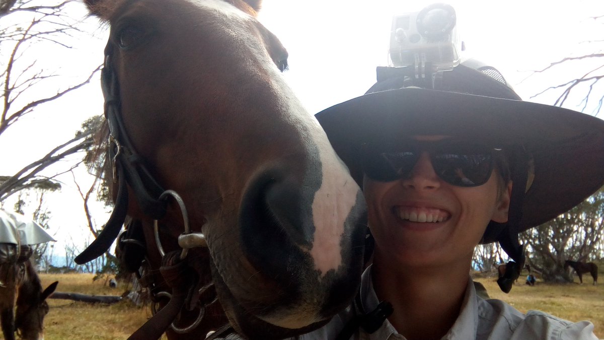 ifosli's tweet photo. Went on a trail ride for the past week and attempted to take a selfie with the lovely Springer... Attempted being the key word. #idonthaveaselfiecamera #whoops #oldschoolselfie https://t.co/pT0Q3IKXeE