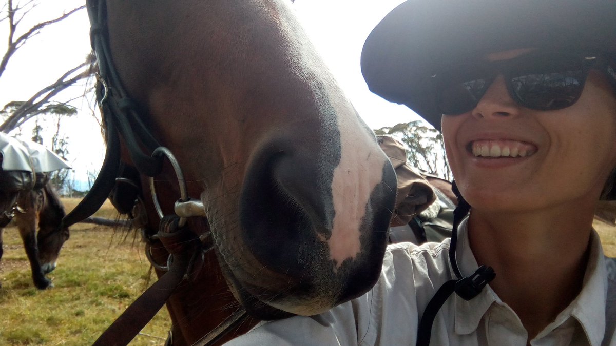 ifosli's tweet photo. Went on a trail ride for the past week and attempted to take a selfie with the lovely Springer... Attempted being the key word. #idonthaveaselfiecamera #whoops #oldschoolselfie https://t.co/pT0Q3IKXeE