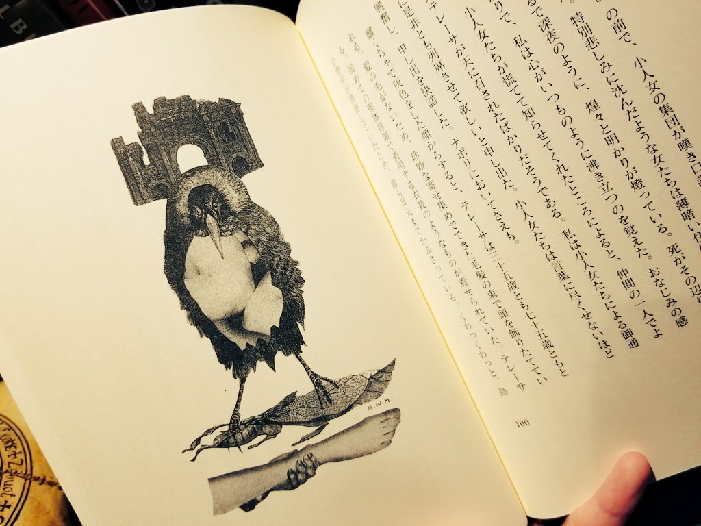 ネクロフィリア /国書刊行会/ガブリエル・ヴィットコップ（単行本