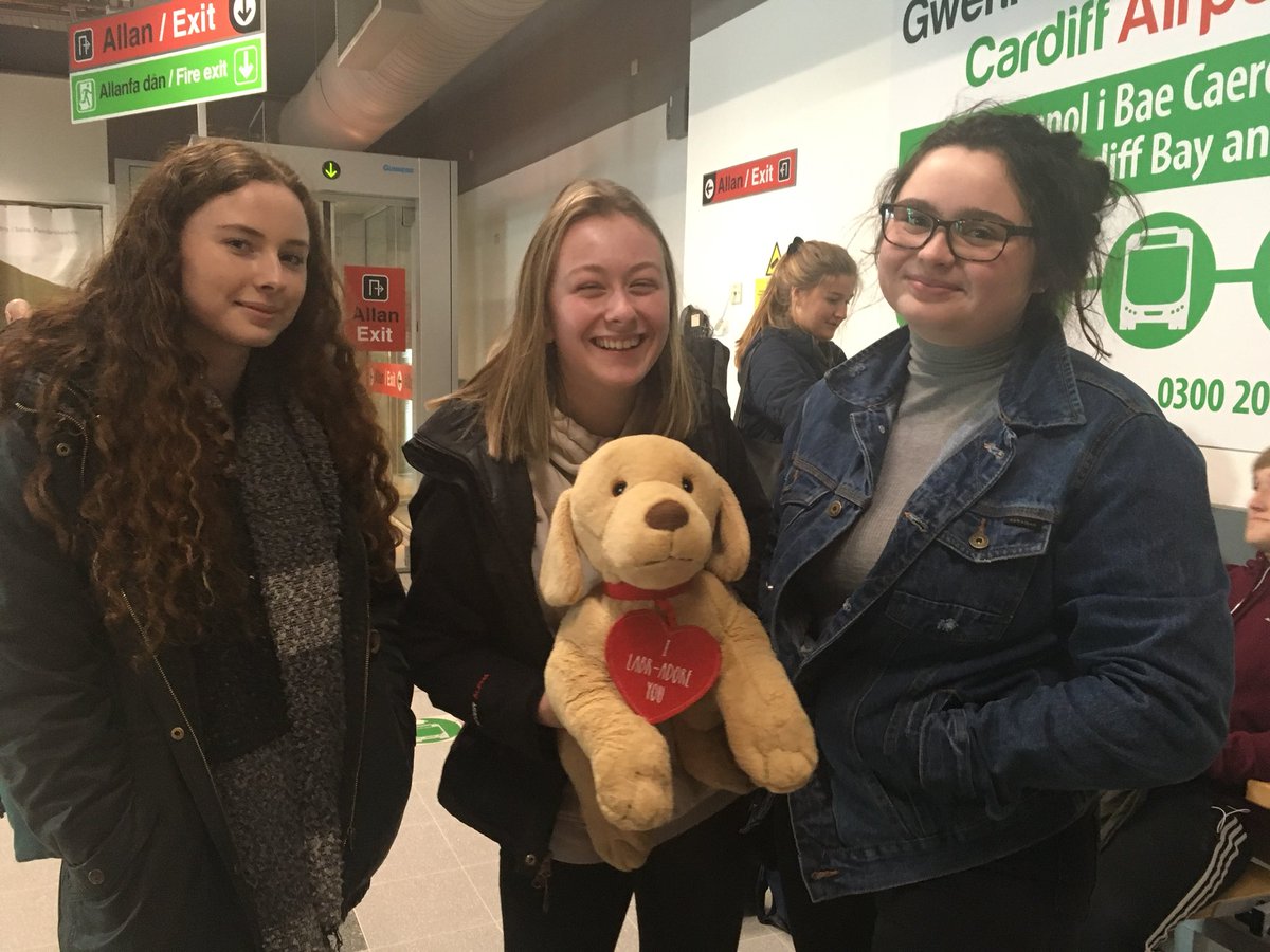 MissSwansonMods's tweet photo. Lawbrador has made it to Wales! Now for final practice (and maybe some sleep) #BMTfinal https://t.co/dBQBdfmSR0
