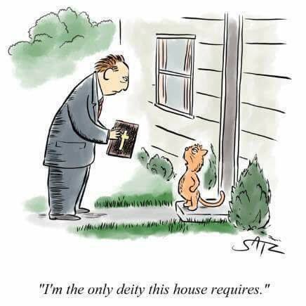 ScepticalAussie's tweet image. 