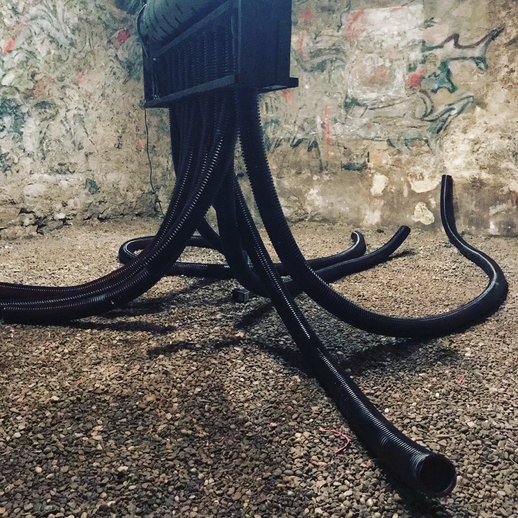 Tentacule // A Velcro octopus sound cyborg examines the sonic materiality of Velcro as it is situated within the ASMR and BDSM communities. #NolanLem thosewhomakewaves.com/home/2018/3/23…