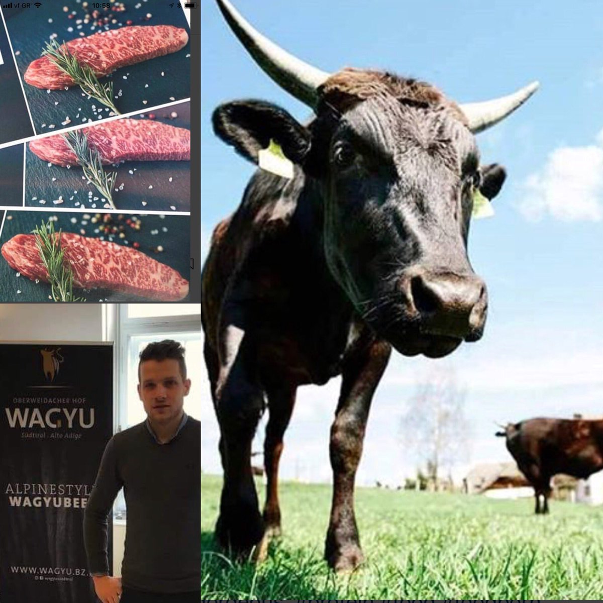 TheOliveCorp's tweet image. Olive Fed Wagyu from the Alps in Italy! Only the best will do!