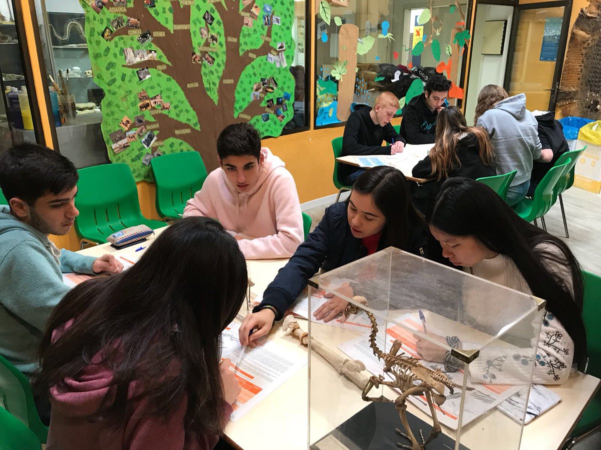 maristesSLC's tweet photo. Els #alumnes de #1BTL modalitat #científic estan al @ZooBarcelona fent un taller sobre l'evolució. https://t.co/ZJWFllODMl