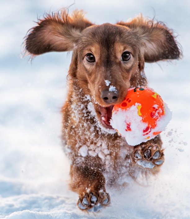 The 𝗕𝗲𝗮𝘀𝘁 𝗙𝗿𝗼𝗺 𝗧𝗵𝗲 𝗡𝗼𝗿𝘁𝗵 𝗘𝗮𝘀𝘁 could hit over the Easter Weekend as more snowy showers are expected. ❄️☃️ Be prepared and find out how much you could save off your energy bills, by clicking on the link below: 💡🔥 utility.discount/instasave