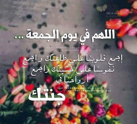 حًً (@ahmad141541) on Twitter photo 