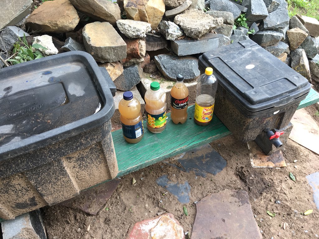 Wilddog_ZA's tweet photo. My earthworms have been fed and worm farms tapped for worm wee 😃🌺
#earthworms #organicgardening #organic #wormwee #gardening https://t.co/yVcCmBwz21