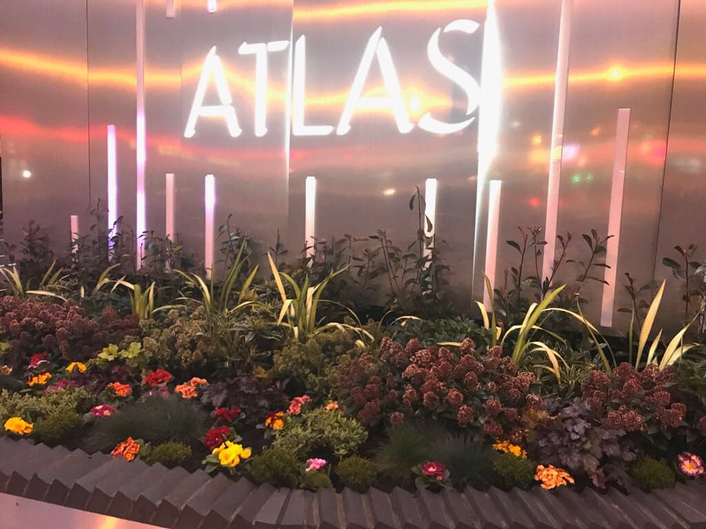 KrystleFDLtd's tweet image. The end of a long day @AtlasEC1 brightening up an outdoor area #TheAtlasBuilding #Shoreditch