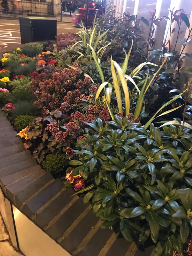 KrystleFDLtd's tweet image. The end of a long day @AtlasEC1 brightening up an outdoor area #TheAtlasBuilding #Shoreditch