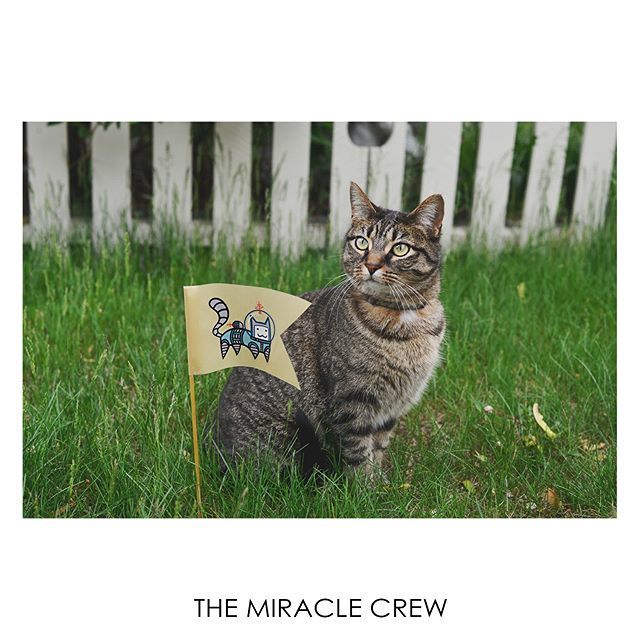 Miracle_Crew_'s tweet photo. Sobriety benefit... being present and available for ALL of my friends :)
.
.
.
#recoverywin #mentalillness #bopo #bodyposi #selfcare #edrecovery #recoveryjourney #prorecovery #miraclecrew #pushforward #selflove #realrecovery https://t.co/eZ6pLiwwM6 https://t.co/gHDnG4RZfQ