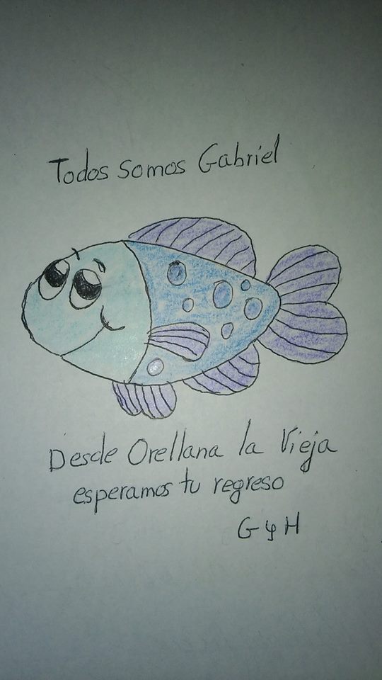 Sisuka74's tweet photo. Hoy se va la esperanza de un país de encontrarte con vida, la ilusión puestas en que aparecieras con vida abrazando de nuevo a tus padres.
Gabriel, siempre te recordaremos, siempre seras nuestro "pescaito".
Pena, rabia e impotencia. #TodosSomosGrabiel https://t.co/IwWbBEWurr