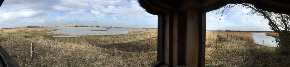 raptorwatcher's tweet photo. Sat in #Ousefleet #blacktoftsands #Rspb #Marshharrier #buzzard #snipe #wigeon #redshank #teal #shoveler #dunlin #lapwing #shelduck https://t.co/0HbDJsga40
