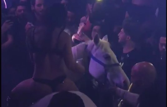 Miami Lingerie Clad Woman Rides Horse Packed Dance Floor Nightclub