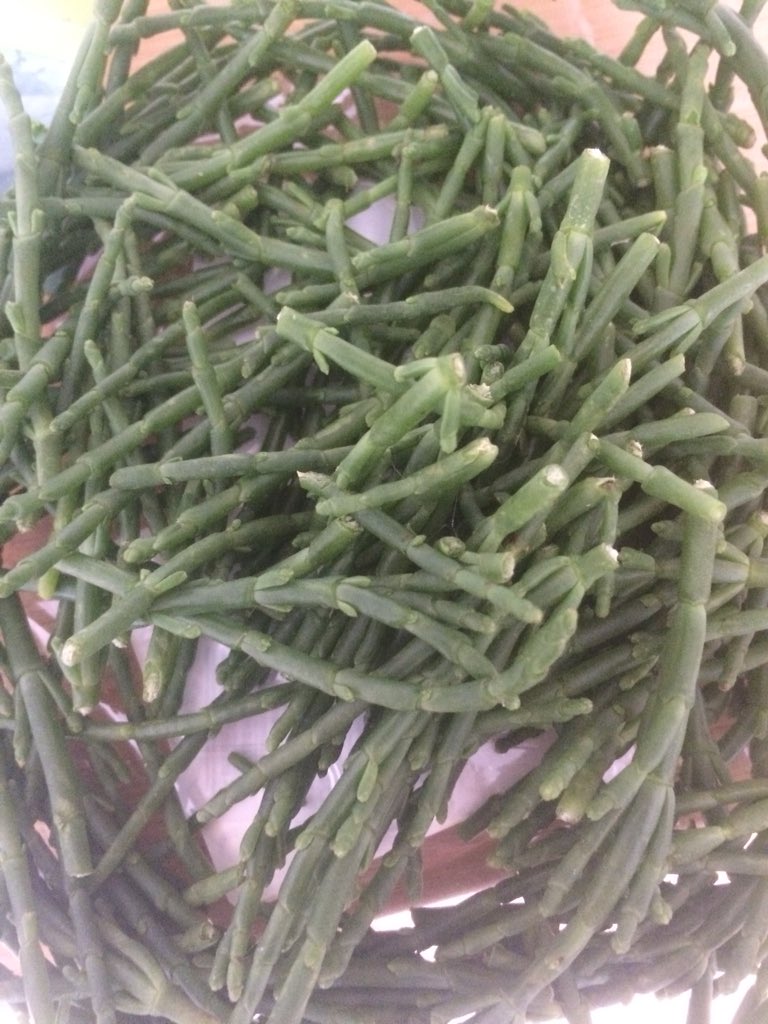 GillianJackso18's tweet photo. Just tried a new food with my Sunday lunch, samphire, very tasty https://t.co/Mi1dca3hDv