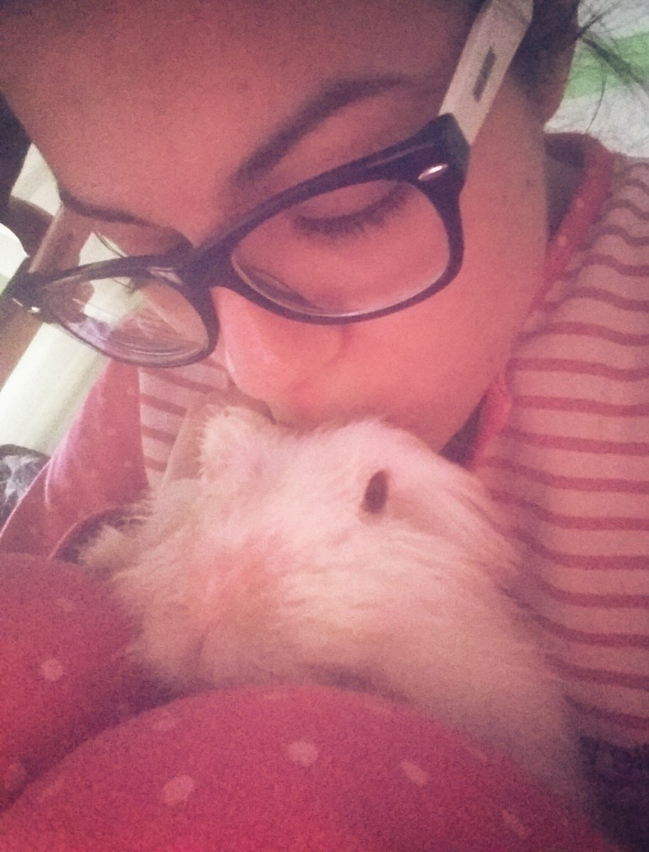 desiree_macias's tweet photo. En un domingo tan triste, mi Copi pa mi. #Mamineja #CopiLove 🐇💙 https://t.co/9voPN8Fwp2