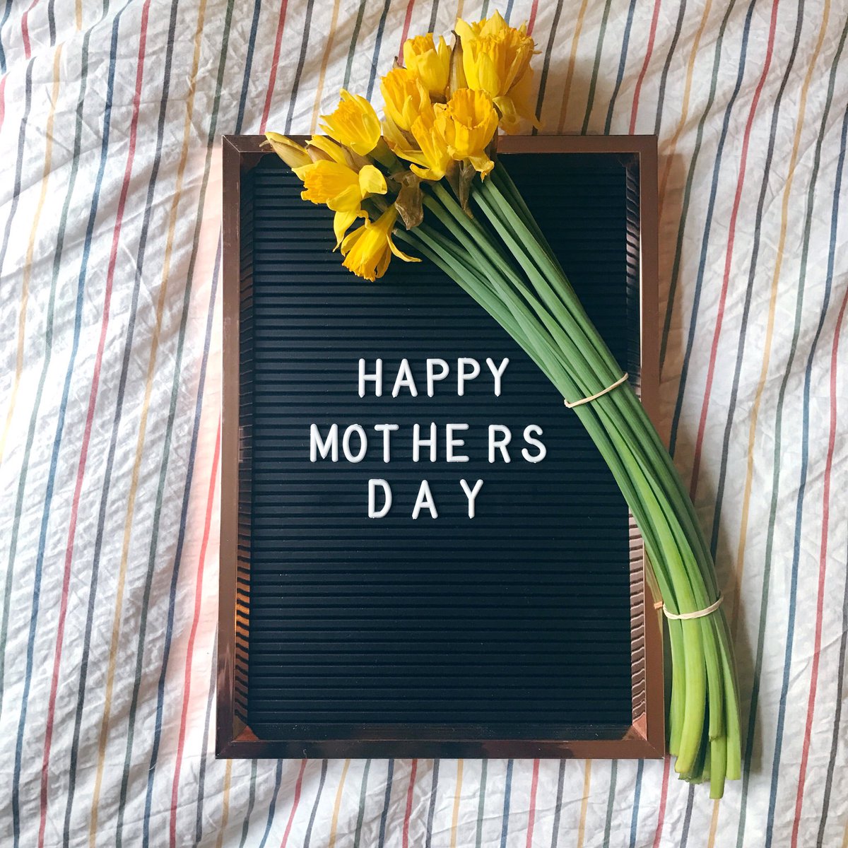 BowtiesandCandy's tweet photo. H A P P Y 💐 M O T H E R S. D A Y https://t.co/Jzp9W0JGAi