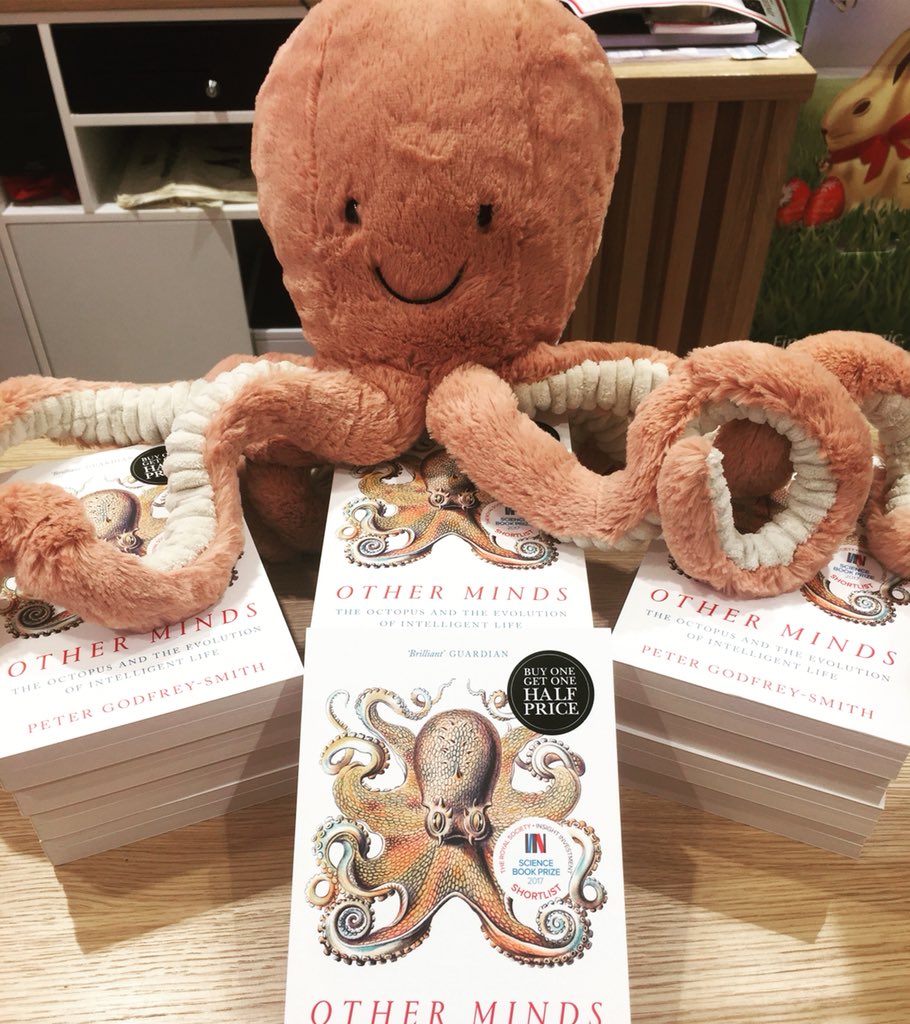 waterstones jellycat