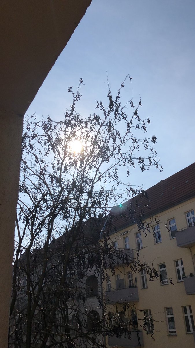 carolinetorbahn's tweet photo. Good Morning 💕 https://t.co/pIJ0UxWWc8