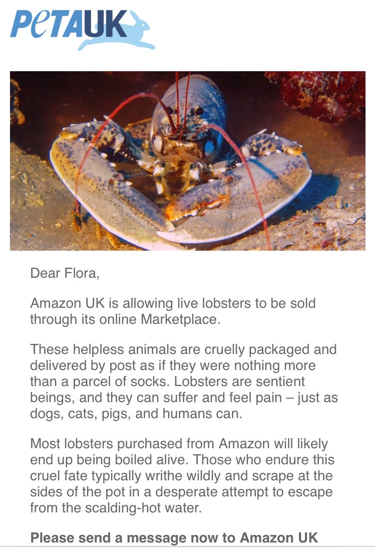 Is this true <a href="/AmazonUK/">Amazon.co.uk</a> ? You sell and ship live lobsters?!
